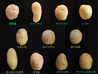 11varieties-v2_s