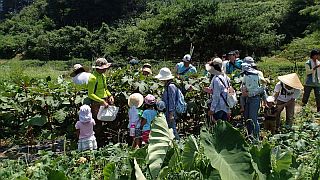 畑の見学