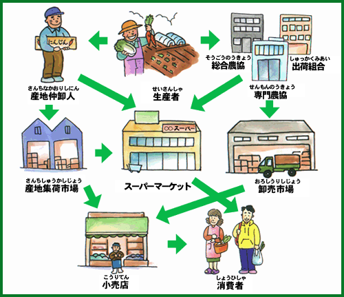 野菜の流通経路