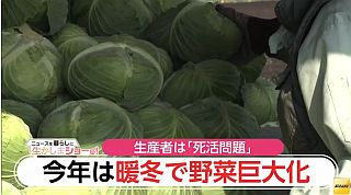 暖冬傾向