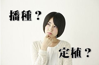 専門用語