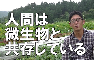 化学肥料は使い方次第