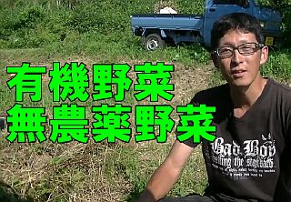 有機野菜と無農薬野菜