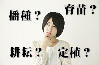 専門用語ばかり