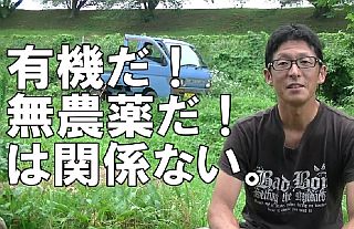右脳と左脳