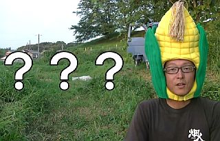 プロは自己責任