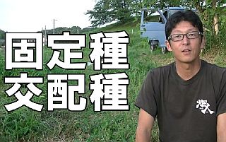 固定種と交配種