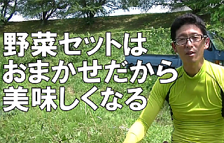 野菜セットはおまかせで