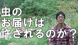 虫のお届け